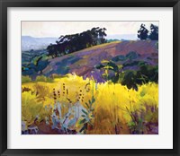 Late Sun, Eucalyptus on the Ridge Fine Art Print
