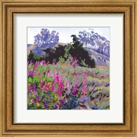 Spring Haze, Eucalyptus on the Ridge Fine Art Print