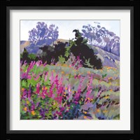 Spring Haze, Eucalyptus on the Ridge Fine Art Print