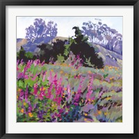 Spring Haze, Eucalyptus on the Ridge Fine Art Print