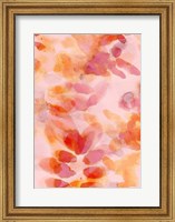 Bloom Rose Fine Art Print