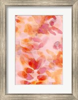 Bloom Rose Fine Art Print