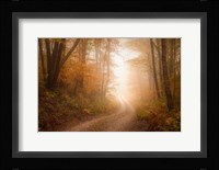 Familiar Dream Fine Art Print