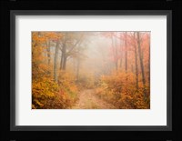 Passing Through Fine Art Print