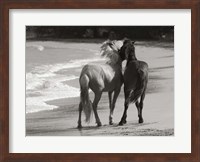 Young Mustangs on Beach Fine Art Print