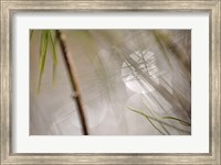 Abstract by the River Fine Art Print