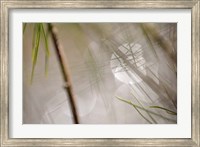 Abstract by the River Fine Art Print