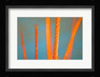 Along the River No. 5 Fine Art Print