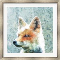 Abstract Fox Fine Art Print
