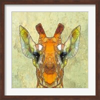 Abstract Giraffe Calf Fine Art Print