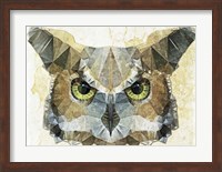 Abstract Owl Fine Art Print