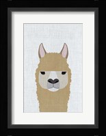 Alpaca Fine Art Print