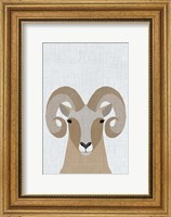 Bighorn Sheep Fine Art Print
