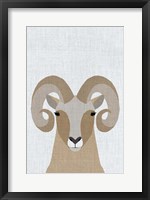 Bighorn Sheep Fine Art Print