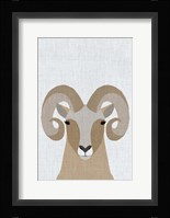 Bighorn Sheep Fine Art Print