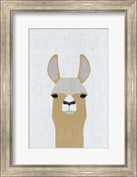 Llama Fine Art Print