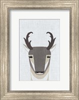 Pronghorn Antelope Fine Art Print