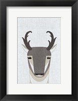 Pronghorn Antelope Fine Art Print