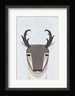 Pronghorn Antelope Fine Art Print