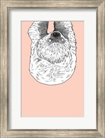 Sloth Fine Art Print