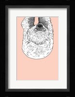 Sloth Fine Art Print