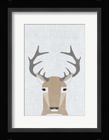 Whitetail Deer Fine Art Print
