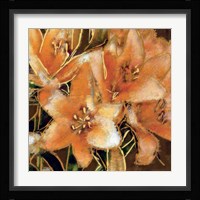 Apricot Dream I Framed Print