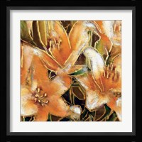 Apricot Dream II Framed Print