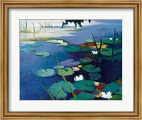 Water Lilies Fine Art Print