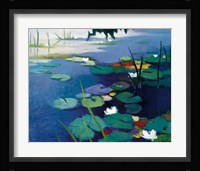 Water Lilies Fine Art Print