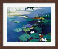 Water Lilies Fine Art Print