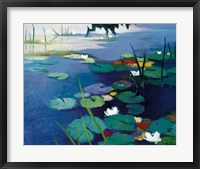 Water Lilies Fine Art Print