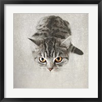 Hello Kitty Fine Art Print