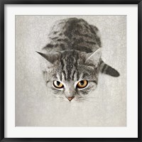 Hello Kitty Fine Art Print