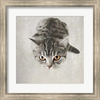 Hello Kitty Fine Art Print