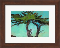 Cypresses Fine Art Print