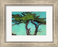 Cypresses Fine Art Print
