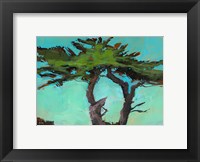 Cypresses Fine Art Print