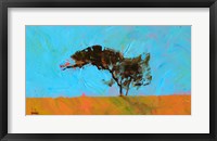 Desert Tree Fine Art Print