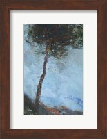 Lone Moorland Pine Fine Art Print