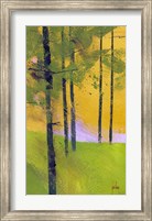 Simple Spruce Fine Art Print