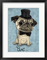 Gentle Pug Fine Art Print