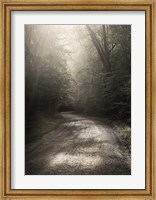 Back Country Road Fine Art Print