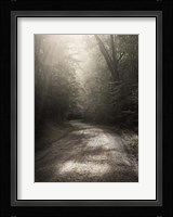 Back Country Road Fine Art Print