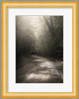 Back Country Road Fine Art Print