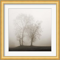 Four Trees in Fog Fine Art Print