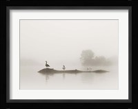 Melton Lake Fine Art Print