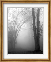 November Fog Fine Art Print