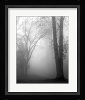November Fog Fine Art Print