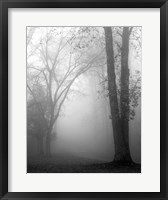 November Fog Fine Art Print